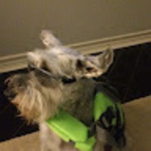 Meet your Posher, Brian